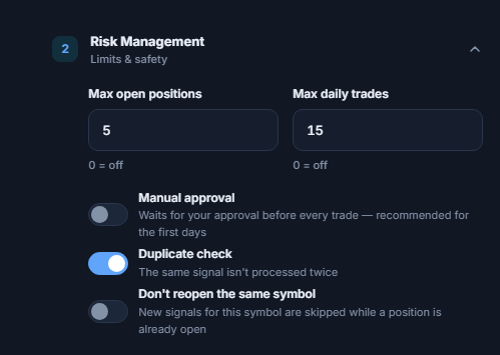 Advanced Risk Management: max open positions and daily trades, Manual approval with a red warning, Duplicate check, Don't reopen the same symbol, Allow before close in minutes
