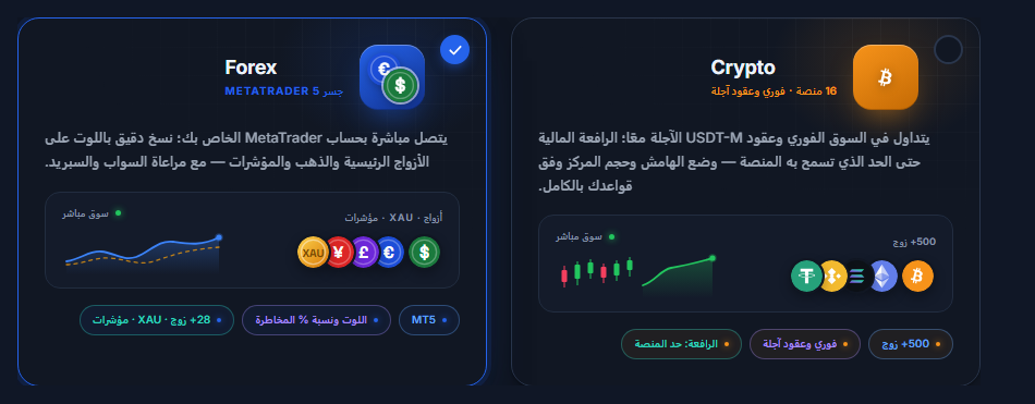 اختيار السوق: بطاقتا العملات الرقمية والفوركس، وبطاقة الفوركس محددة