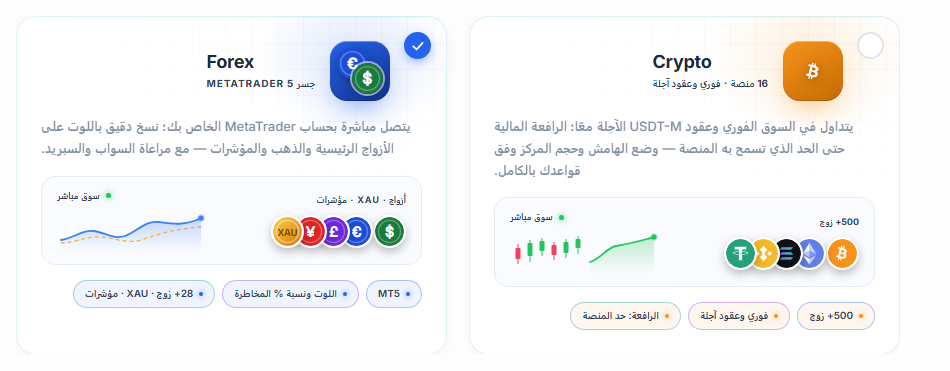 اختيار السوق: بطاقتا العملات الرقمية والفوركس، وبطاقة الفوركس محددة