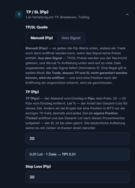 Abschnitt TP / SL (Pip): TP/SL-Quelle Manuell (Pip) ausgewählt, TP (Pip) 20 und Stop Loss (Pip) 30