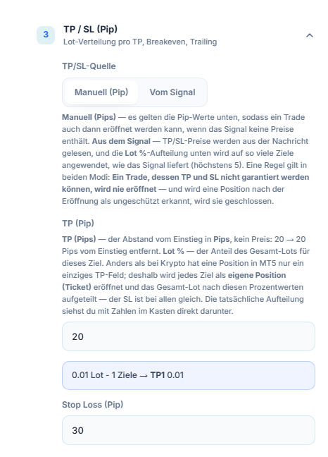 Abschnitt TP / SL (Pip): TP/SL-Quelle Manuell (Pip) ausgewählt, TP (Pip) 20 und Stop Loss (Pip) 30