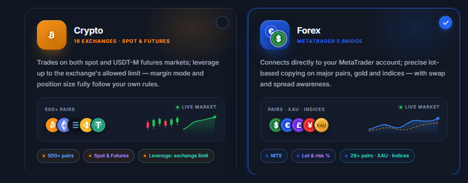 Market selection: Crypto and Forex cards, with the Forex card selected