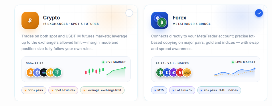 Market selection: Crypto and Forex cards, with the Forex card selected