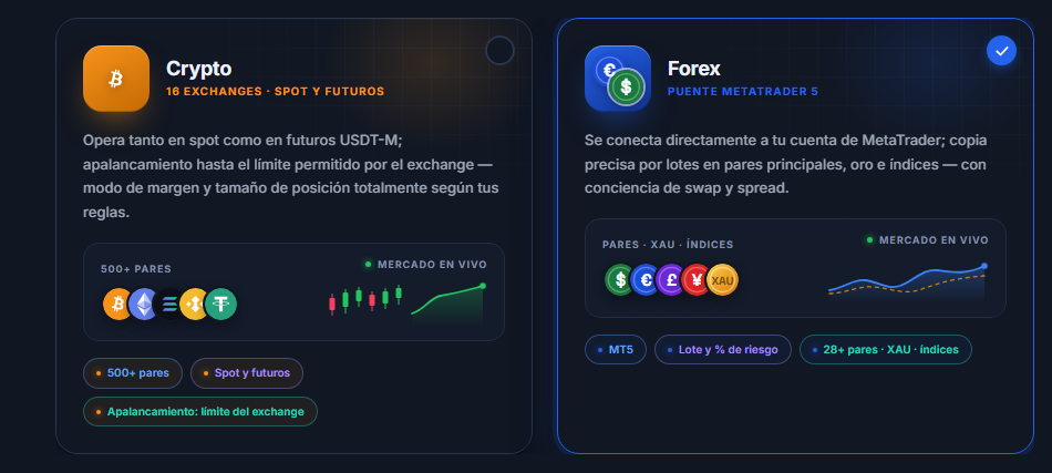 Elección del mercado: tarjetas Crypto y Forex, con la tarjeta Forex seleccionada