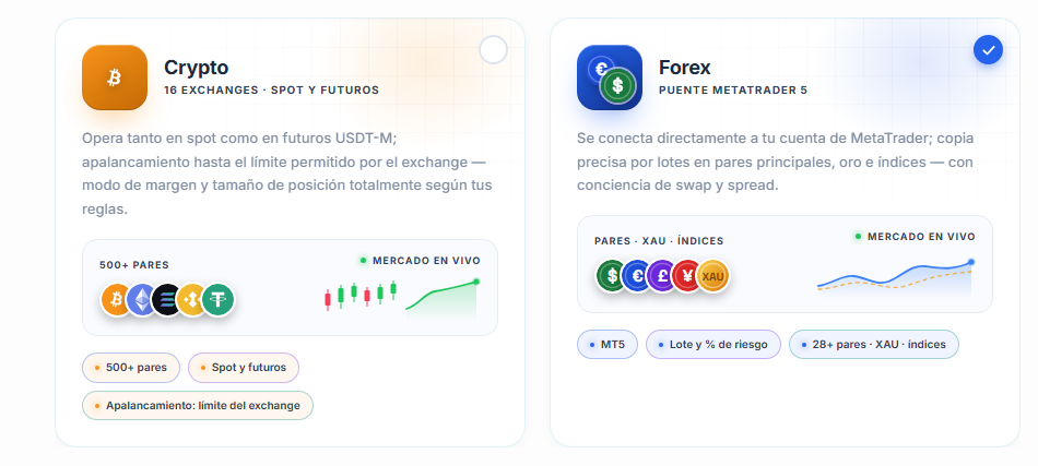 Elección del mercado: tarjetas Crypto y Forex, con la tarjeta Forex seleccionada