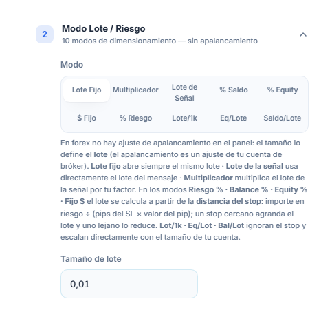 Sección Modo Lote / Riesgo: Lote Fijo seleccionado y campo Tamaño de lote con 0.01