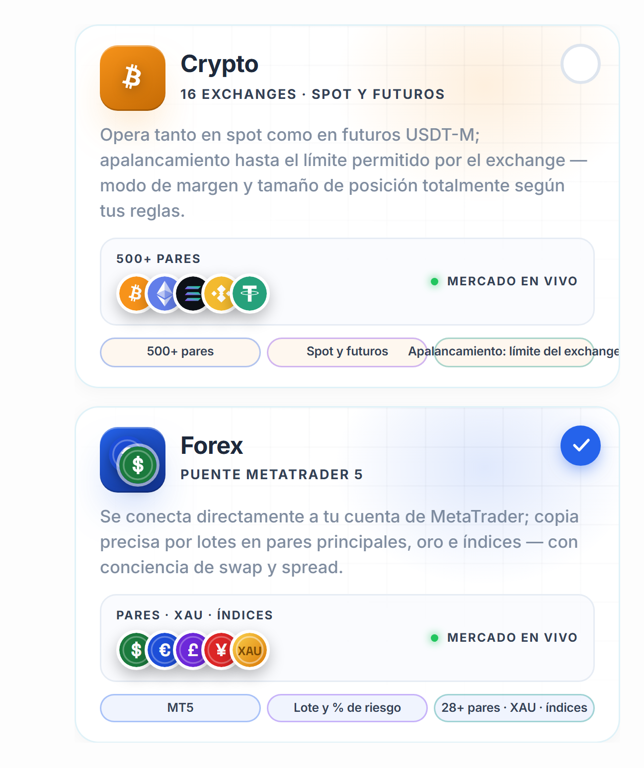 Elección del mercado: tarjetas Crypto y Forex, con la tarjeta Forex seleccionada
