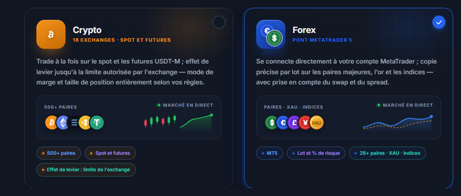 Choix du marché : cartes Crypto et Forex, carte Forex sélectionnée