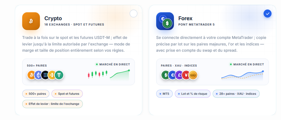 Choix du marché : cartes Crypto et Forex, carte Forex sélectionnée