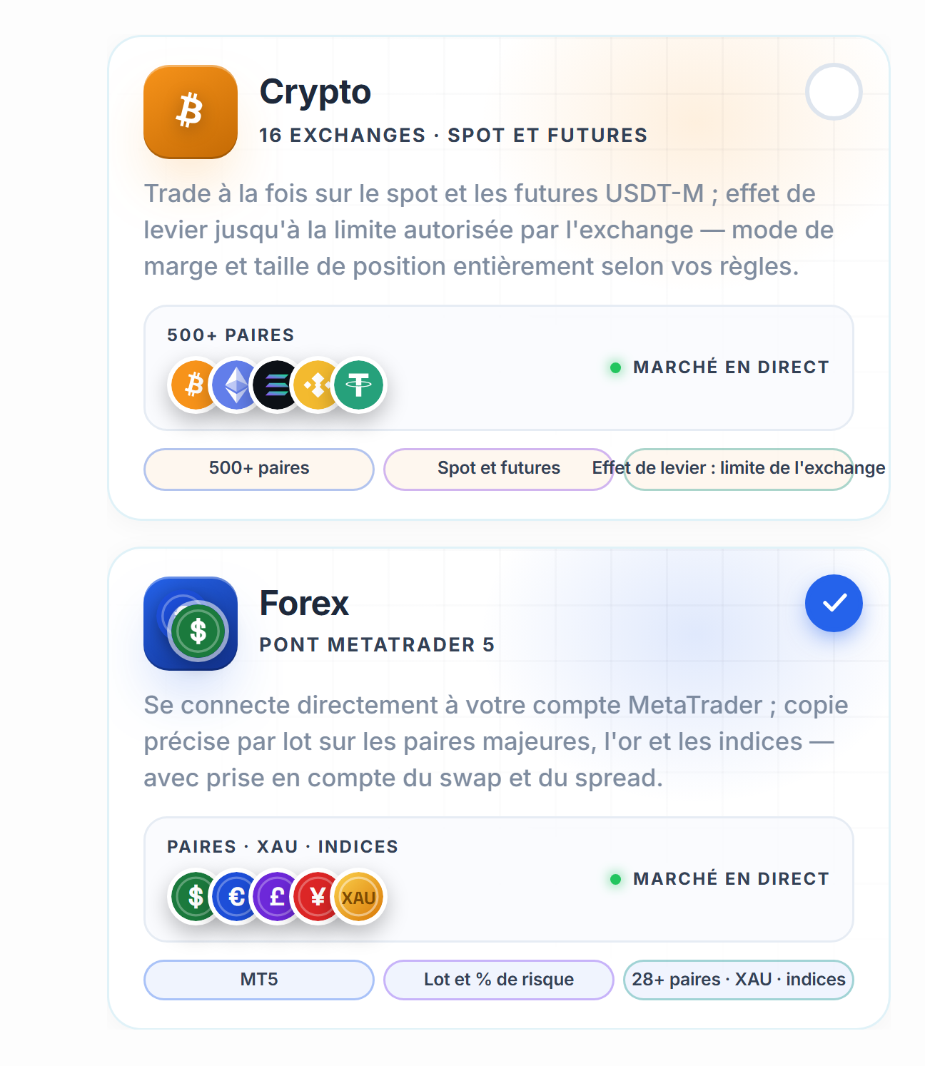 Choix du marché : cartes Crypto et Forex, carte Forex sélectionnée