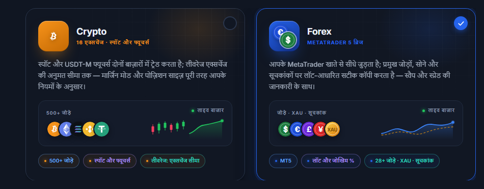 बाज़ार का चुनाव: Crypto और Forex कार्ड, Forex कार्ड चयनित