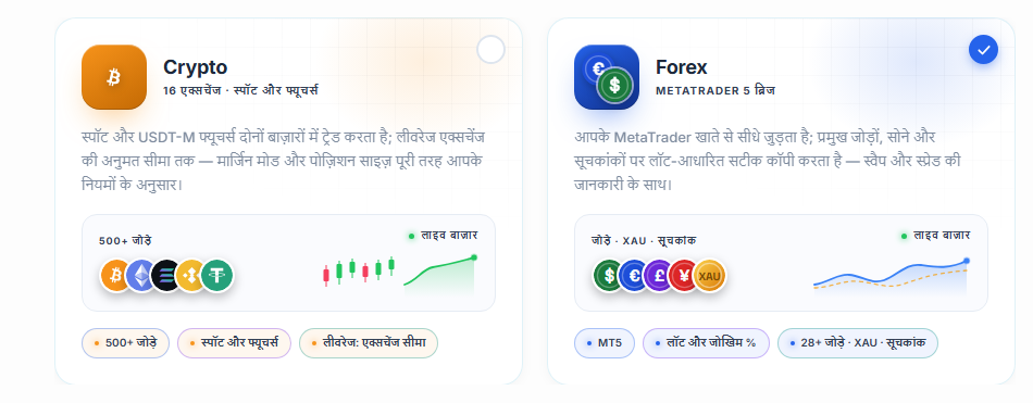 बाज़ार का चुनाव: Crypto और Forex कार्ड, Forex कार्ड चयनित