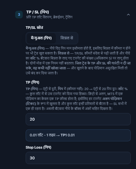 TP / SL (पिप) सेक्शन: TP/SL स्रोत मैन्युअल (पिप) चुना हुआ, TP (पिप) 20 और Stop Loss (पिप) 30