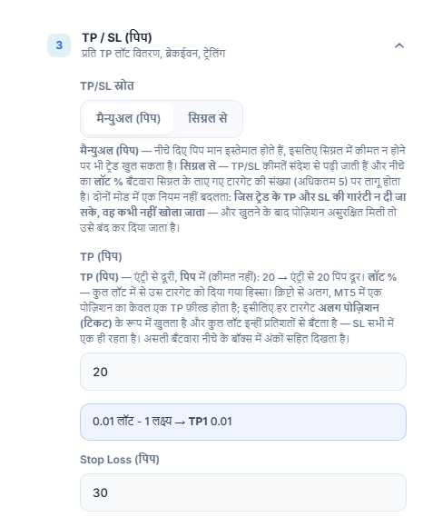 TP / SL (पिप) सेक्शन: TP/SL स्रोत मैन्युअल (पिप) चुना हुआ, TP (पिप) 20 और Stop Loss (पिप) 30