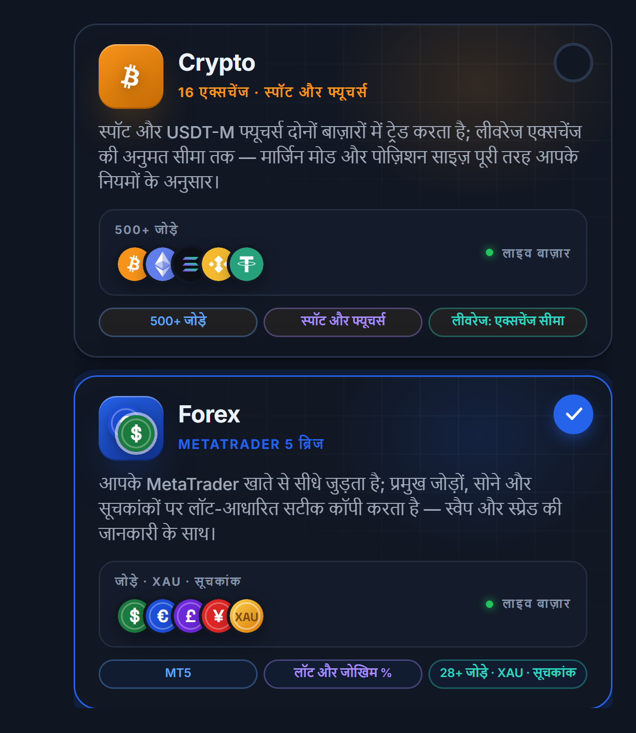 बाज़ार का चुनाव: Crypto और Forex कार्ड, Forex कार्ड चयनित