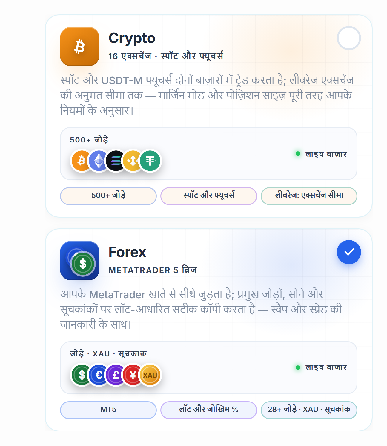 बाज़ार का चुनाव: Crypto और Forex कार्ड, Forex कार्ड चयनित