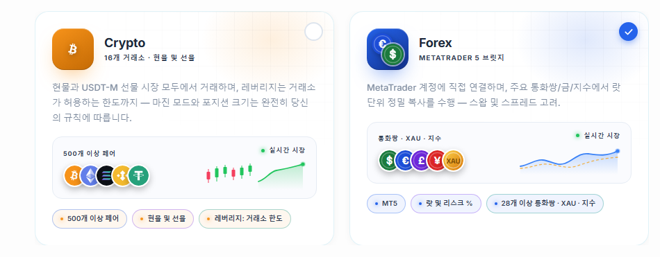 시장 선택: Crypto와 Forex 카드, Forex 카드가 선택됨