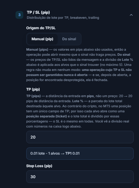 Seção TP / SL (pip): Origem do TP/SL com Manual (pip) selecionado, TP (pip) 20 e Stop Loss (pip) 30