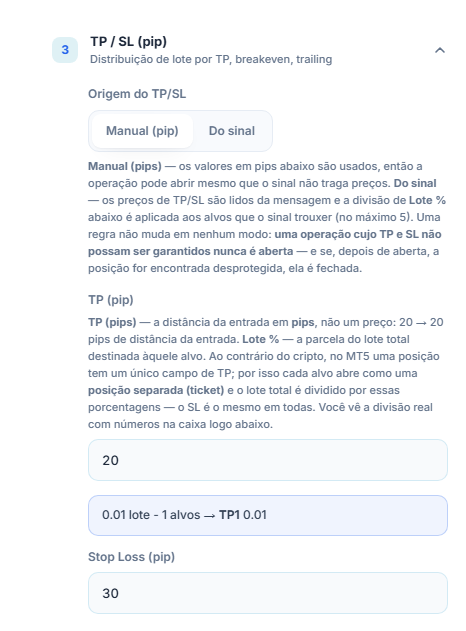 Seção TP / SL (pip): Origem do TP/SL com Manual (pip) selecionado, TP (pip) 20 e Stop Loss (pip) 30