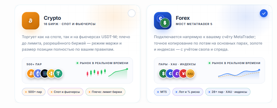 Выбор рынка: карточки Crypto и Форекс, карточка Форекс выбрана