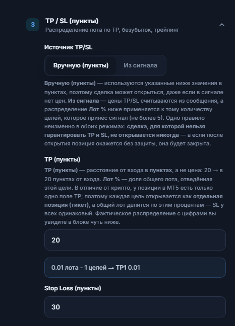 Раздел «TP / SL (пункты)»: «Источник TP/SL» — «Вручную (пункты)», «TP (пункты)» 20 и «Stop Loss (пункты)» 30