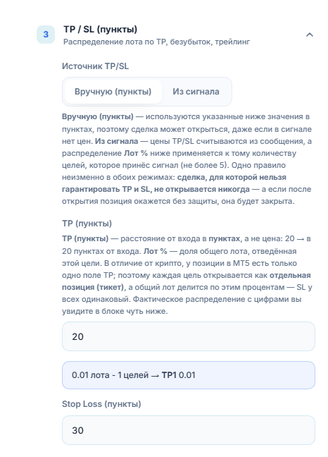 Раздел «TP / SL (пункты)»: «Источник TP/SL» — «Вручную (пункты)», «TP (пункты)» 20 и «Stop Loss (пункты)» 30