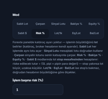 Lot / Risk Modu: Risk % seçili ve İşlem başına risk (%) alanı