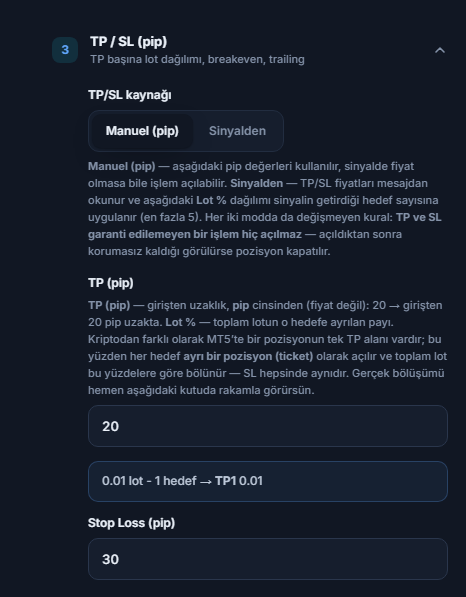 TP / SL (pip) bölümü: TP/SL kaynağı Manuel (pip) seçili, TP (pip) 20 ve Stop Loss (pip) 30