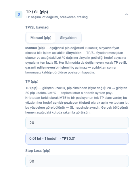 TP / SL (pip) bölümü: TP/SL kaynağı Manuel (pip) seçili, TP (pip) 20 ve Stop Loss (pip) 30