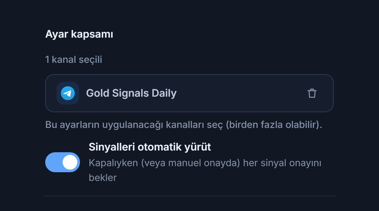 Ayar kapsamı bölümü kanal eklendikten sonra: 1 kanal seçili sayacı, yeşil tikli seçili kanal çipi ve çipteki kaldır düğmesi