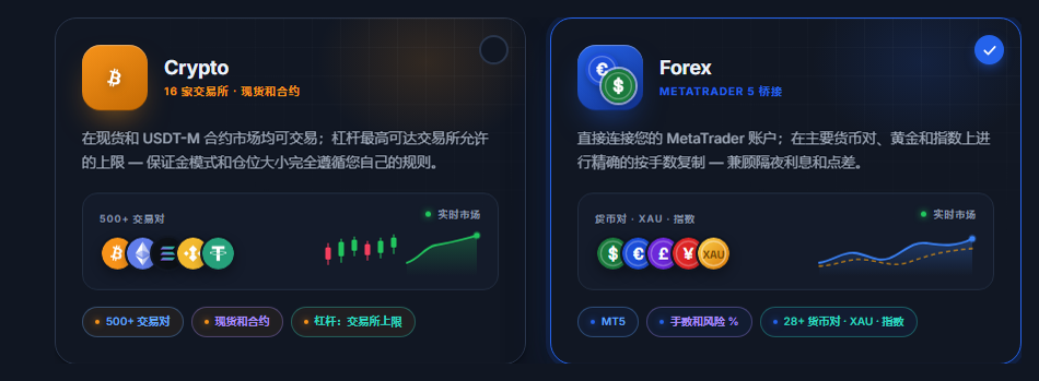 市场选择：Crypto 和 Forex 卡片，已选中 Forex 卡片