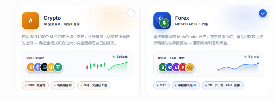 市场选择：Crypto 和 Forex 卡片，已选中 Forex 卡片